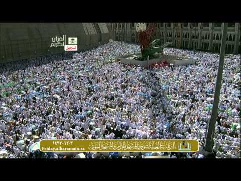 وقفاتٌ وتأملاتٌ في نُصرة المصطفى - صلى الله عليه وسلم -