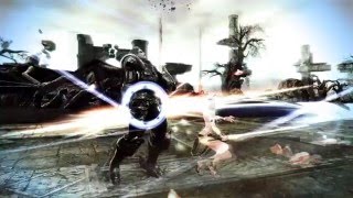 아리샤 카단히어로 솔로잉