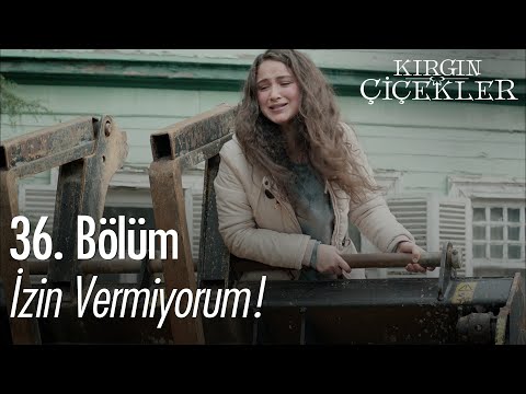 Songül, yurt için kendini tehlikeye atıyor! - Kırgın Çiçekler 36. Bölüm