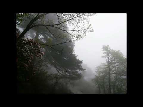 [FREE] h jeunecrack + abel31 type beat - "le riff" (p. 6min)