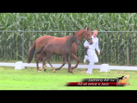 Jamiro AF - All at once x Jazz