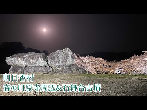 明日香村・川原寺近くの桜並木〜川原寺〜石舞台古墳の夜桜ライトアップ(2021/3/29)