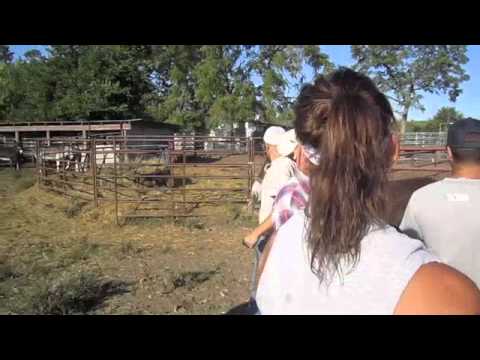 Heartland Horseshoeing School, 2011 2