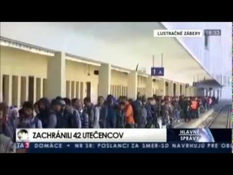 Copiii "imigranților" musulmani dau de gol planurile acestora