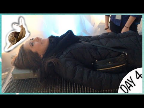 LAYING ON NAILS & EATING SNAILS ☆ Vloguary Day 4 ☆