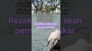 Download lagu Walaupun kamu ada di ladang gandum, jika bukan rizkimu pasti tdk akan dpt.#motivasikehidupan #rezeki mp3