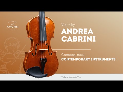 Violin by Andrea Cabrini, Cremona, 2022
