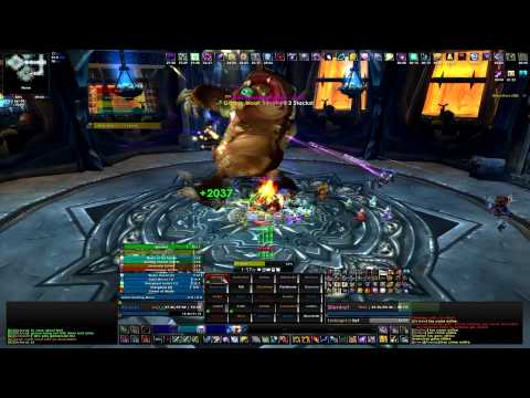 Afterlife, Stormrage-US - Festergut 25N