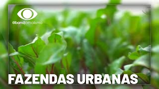 Miniatura do vídeo