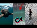 Was Ist Das Für Ein Unheimlicher Ring Mitten Im See Shorts Hochformat