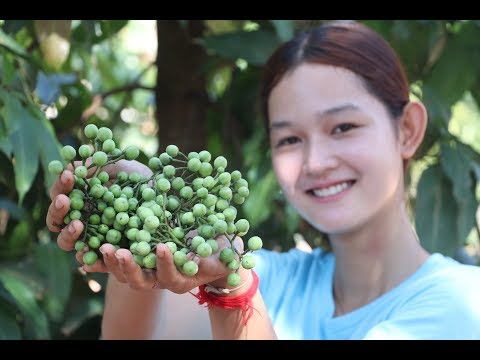 download lagu mp3 mp4 Pea Eggplant, download lagu Pea Eggplant gratis, unduh video klip Pea Eggplant