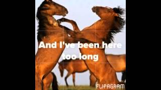 Nik Kershaw - Wild Horses LYRICS dahr4