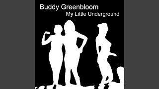 My Little Underground (live)