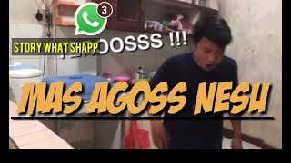 Download lagu MAS AGOS KOTAK (entah apa yang merasukimu) mp3