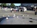 Burger King Gulls Norway