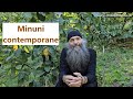 Minuni Contemporane P Pimen Vlad