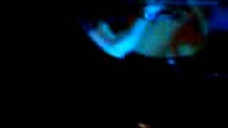 The Coronas i choose love