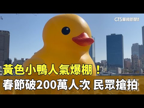 黃色小鴨人氣爆棚！　春節破200萬人次　民眾搶拍