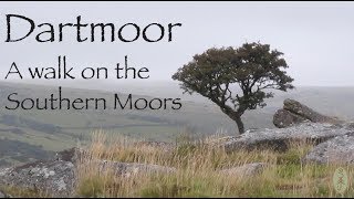Dartmoor. A walk on the Southern Moors with Maggie.