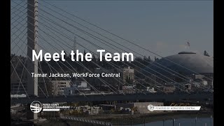 Meet the Team