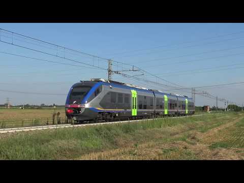 MINUETTO D. IN TRANSITO A VIGNALE (NO) GIOV. 19 - 7 - 2018
