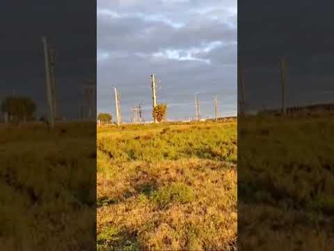 Video de YouTube - Terreno en venta de 1 hectárea 4814 m² en Rutas 108 y 81, Migues, Canelones.