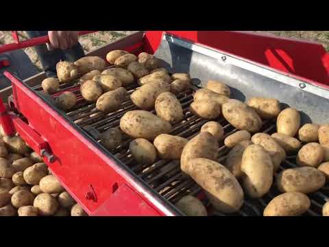 , title : 'Recoltat cartofi/ Potato harvest Combină GRIMME LK650'