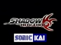 Shadow The Hedgehog Music: THE CHOSEN ONE ...