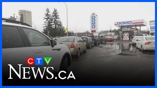 Edmontonians scouring city for cheapest gas prices