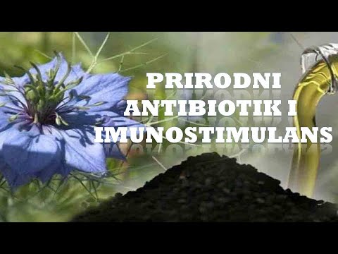 NAJJAČI UBICA BAKTERIJA, ČISTAČ PROBAVNOG TRAKTA I ARTERIJA! Dr Mihajlovic