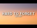Sam Hunt - Hard To Forget (Lyrics)