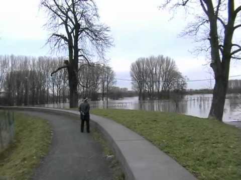 Hochwasser  in Köln Langel