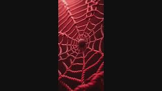 [Electro Swing] Web Of Manipulation (U18 safe version)