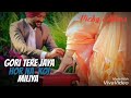 Gori Tere Jaya Hor Na Koi Milya