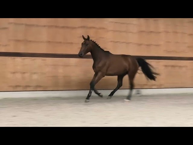 jumping