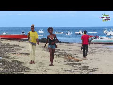 Nosy Be🇲🇬Madagascar🇲🇬The Wall🇲🇬Still loving you🇲🇬Soldier of fortune🇲🇬Spiagge e strade malgasce