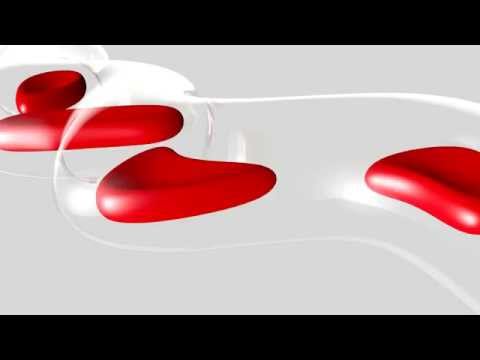 Tägliche Blutdruckmessung Prävention von essentieller Hypertonie Diätrat