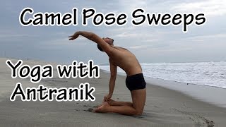 Camel Pose Sweeps with Antranik