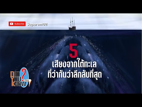 คลิกเพื่อดูคลิปวิดีโอ
