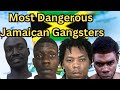 The Most Dangerous Jamaican Gangsters Stories Of Power Crime And Fear