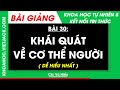 Khoa học tự nhiên 8 Bài 30: Khái quát về cơ thể người | Kết nối tri thức