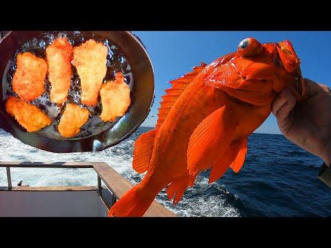 Rockfishing at Santa Rosa Island on the Coral Sea - Catch and Cook