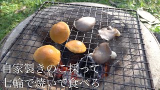 【里山暮らし】自家製きのこを七輪で焼いて食べてみたら最高だった