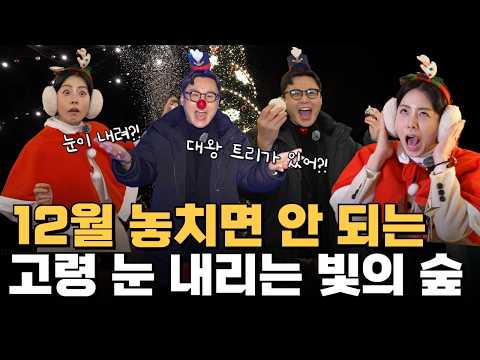 포토존·눈·야경까지 다 있다