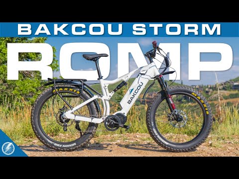 Bakcou Storm Review | Fat Tire Electric Bike (2021)