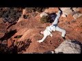 People Falling Off Cliffs Part 1 HD 2017