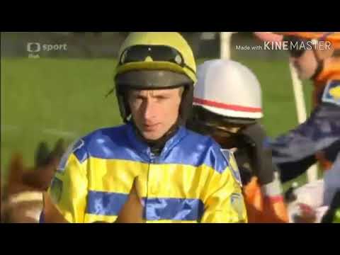 129.Velká Pardubická se SP již za 10 dní