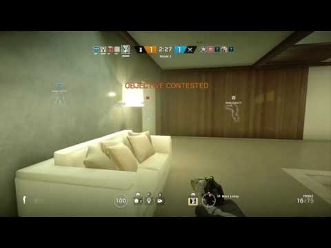 Caveira Flanks (2 separate 3k's)