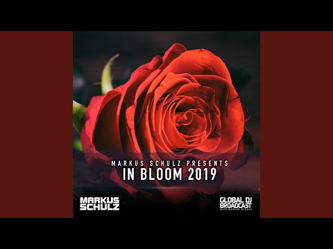 Neon Skies (GDJB In Bloom 2019)