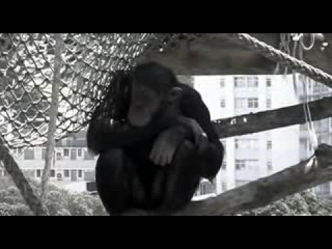 Spartacus R - Sunset 2 Sunrise - dir.Franco VR